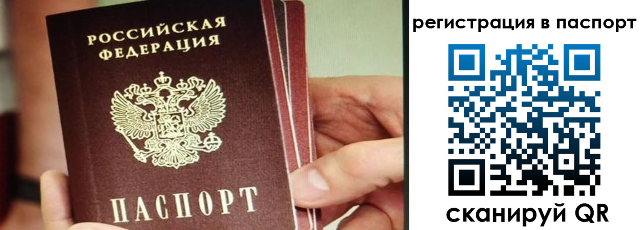 временная регистрация надежно в Муроме